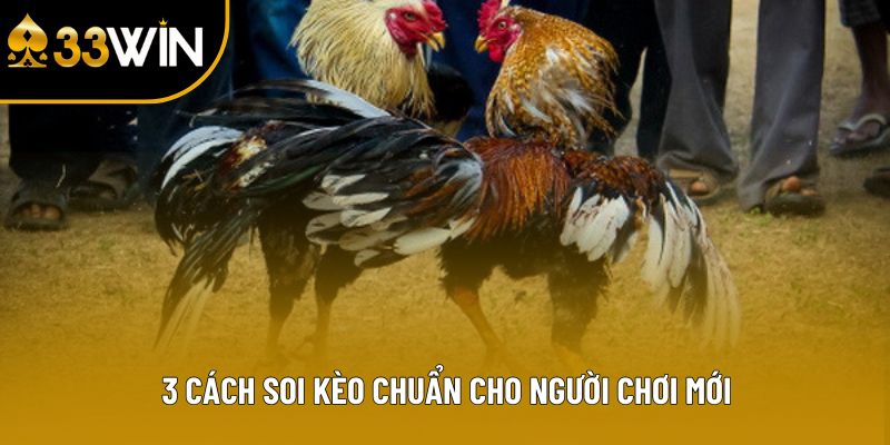 3 cách soi kèo chuẩn cho người chơi mới