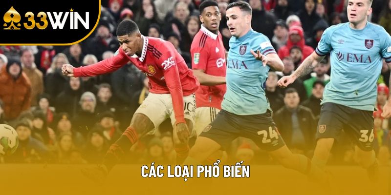 Các loại phổ biến