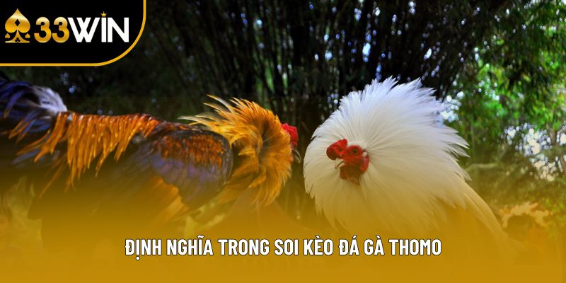 Định nghĩa trong soi kèo đá gà Thomo