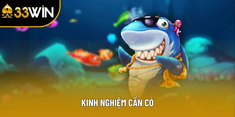 Kinh nghiệm cần có