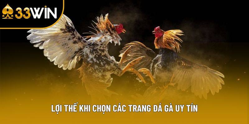 Lợi thế khi chọn các trang đá gà uy tín
