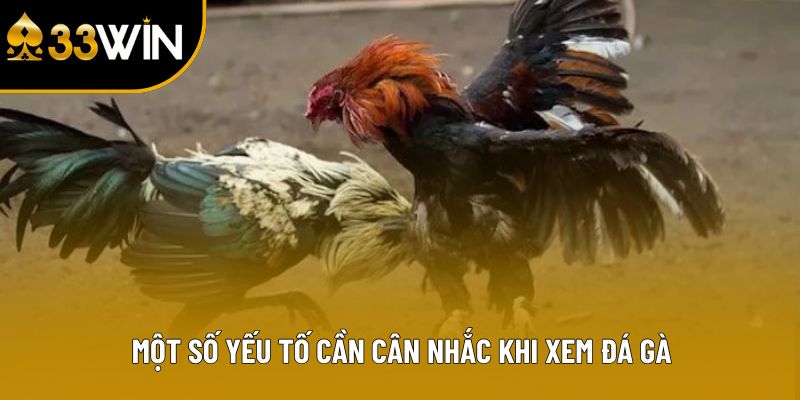 Một số yếu tố cần cân nhắc khi xem đá gà