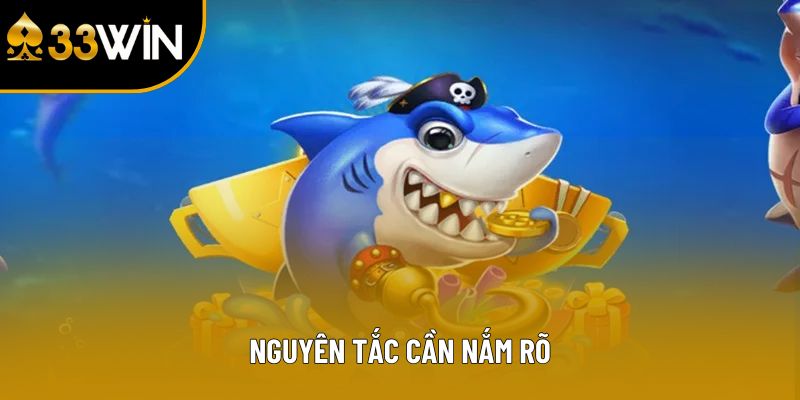 Nguyên tắc cần nắm rõ
