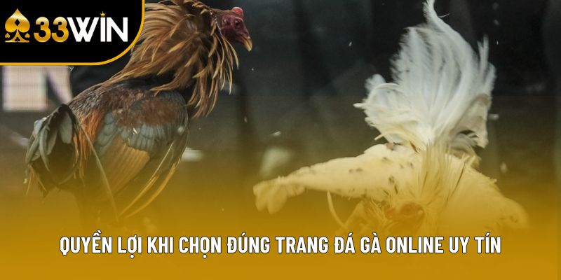 Quyền lợi khi chọn đúng trang đá gà online uy tín