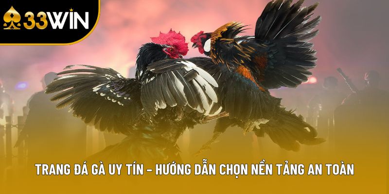 Trang Đá Gà Uy Tín – Hướng Dẫn Chọn Nền Tảng An Toàn
